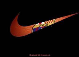 360直播-世俱杯官方观赛入口地址与使用方法详细解析