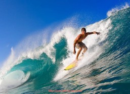 360直播-购买火箭队可能性分析及球队市场价值探讨